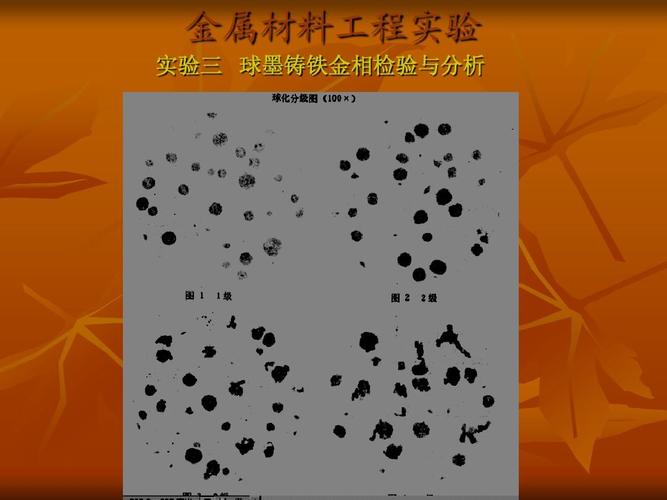 球墨铸铁金相检验实验指导——金属材料工程实验三